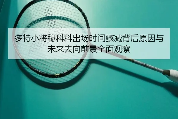多特小将穆科科出场时间骤减背后原因与未来去向前景全面观察 | kaiyun