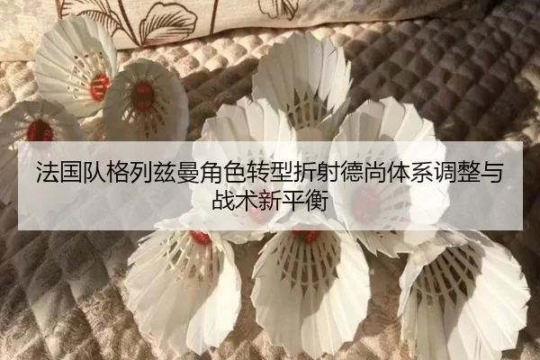 法国队格列兹曼角色转型折射德尚体系调整与战术新平衡